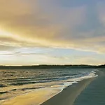 Pearl * Binz